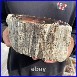9.2lb Rare Natural petrified wood rough Wood fossil mineral specimen healing 9.2lb Rare Natural petrified wood rough Wood fossil mineral specimen healing