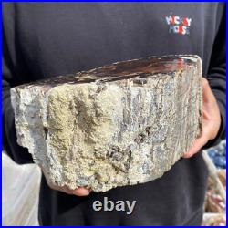 9.2lb Rare Natural petrified wood rough Wood fossil mineral specimen healing 9.2lb Rare Natural petrified wood rough Wood fossil mineral specimen healing