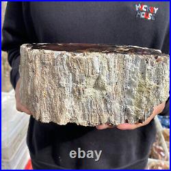 9.2lb Rare Natural petrified wood rough Wood fossil mineral specimen healing 9.2lb Rare Natural petrified wood rough Wood fossil mineral specimen healing