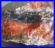 9_3_4_Lb_Agatized_Volcanic_Petrified_Wood_Limbcast_Smoky_Quartz_Red_Yellow_Cat_01_mtp