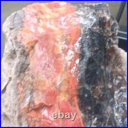 9 3/4 Lb Agatized Volcanic Petrified Wood Limbcast Smoky Quartz Red Yellow Cat