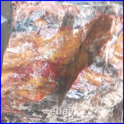 9 3/4 Lb Agatized Volcanic Petrified Wood Limbcast Smoky Quartz Red Yellow Cat