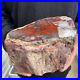 9_3lb_Rare_Natural_petrified_wood_rough_Wood_fossil_mineral_specimen_healing_01_gny