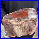 9_3lb_Rare_Natural_petrified_wood_rough_Wood_fossil_mineral_specimen_healing_01_gvm