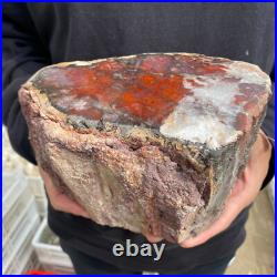 9.3lb Rare Natural petrified wood rough Wood fossil mineral specimen healing 9.3lb Rare Natural petrified wood rough Wood fossil mineral specimen healing