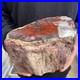 9_3lb_Rare_Natural_petrified_wood_rough_Wood_fossil_mineral_specimen_healing_01_otv