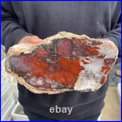 9.3lb Rare Natural petrified wood rough Wood fossil mineral specimen healing 9.3lb Rare Natural petrified wood rough Wood fossil mineral specimen healing
