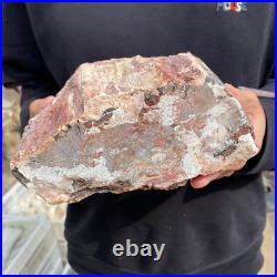 9.3lb Rare Natural petrified wood rough Wood fossil mineral specimen healing 9.3lb Rare Natural petrified wood rough Wood fossil mineral specimen healing