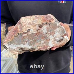 9.3lb Rare Natural petrified wood rough Wood fossil mineral specimen healing 9.3lb Rare Natural petrified wood rough Wood fossil mineral specimen healing