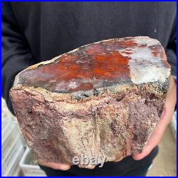 9.3lb Rare Natural petrified wood rough Wood fossil mineral specimen healing 9.3lb Rare Natural petrified wood rough Wood fossil mineral specimen healing