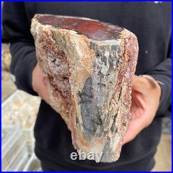 9.3lb Rare Natural petrified wood rough Wood fossil mineral specimen healing 9.3lb Rare Natural petrified wood rough Wood fossil mineral specimen healing