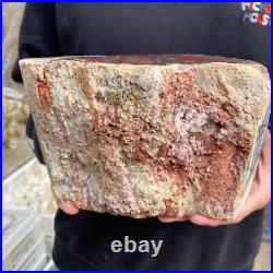 9.3lb Rare Natural petrified wood rough Wood fossil mineral specimen healing 9.3lb Rare Natural petrified wood rough Wood fossil mineral specimen healing