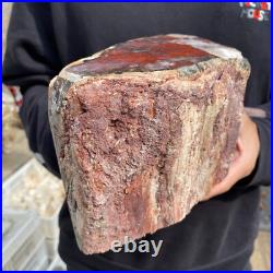 9.3lb Rare Natural petrified wood rough Wood fossil mineral specimen healing 9.3lb Rare Natural petrified wood rough Wood fossil mineral specimen healing
