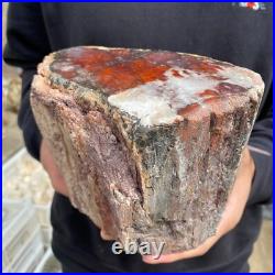 9.3lb Rare Natural petrified wood rough Wood fossil mineral specimen healing 9.3lb Rare Natural petrified wood rough Wood fossil mineral specimen healing