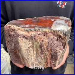 9.3lb Rare Natural petrified wood rough Wood fossil mineral specimen healing 9.3lb Rare Natural petrified wood rough Wood fossil mineral specimen healing