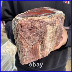 9.3lb Rare Natural petrified wood rough Wood fossil mineral specimen healing 9.3lb Rare Natural petrified wood rough Wood fossil mineral specimen healing