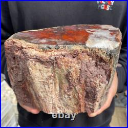 9.3lb Rare Natural petrified wood rough Wood fossil mineral specimen healing 9.3lb Rare Natural petrified wood rough Wood fossil mineral specimen healing