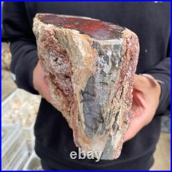 9.3lb Rare Natural petrified wood rough Wood fossil mineral specimen healing 9.3lb Rare Natural petrified wood rough Wood fossil mineral specimen healing