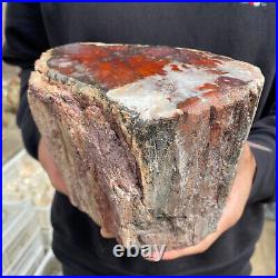 9.3lb Rare Natural petrified wood rough Wood fossil mineral specimen healing 9.3lb Rare Natural petrified wood rough Wood fossil mineral specimen healing