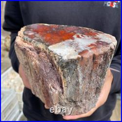 9.3lb Rare Natural petrified wood rough Wood fossil mineral specimen healing 9.3lb Rare Natural petrified wood rough Wood fossil mineral specimen healing