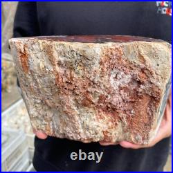 9.3lb Rare Natural petrified wood rough Wood fossil mineral specimen healing 9.3lb Rare Natural petrified wood rough Wood fossil mineral specimen healing