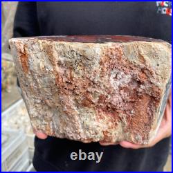 9.3lb Rare Natural petrified wood rough Wood fossil mineral specimen healing 9.3lb Rare Natural petrified wood rough Wood fossil mineral specimen healing