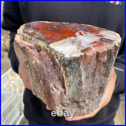 9.3lb Rare Natural petrified wood rough Wood fossil mineral specimen healing 9.3lb Rare Natural petrified wood rough Wood fossil mineral specimen healing