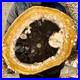 9_42LB_Large_natural_Petrified_wood_crystal_fossil_piece_sample_restoration_01_vv