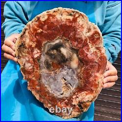 9.59LB Natural Petrified Wood Fossil Crystal Polished Slice- Madagascar