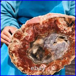 9.59LB Natural Petrified Wood Fossil Crystal Polished Slice Madagascar 40