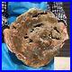 9_63LB_Natural_Petrified_Wood_Fossil_Crystal_Polished_Slice_Madagascar_2589_01_jgth