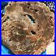 9_63LB_Natural_Petrified_Wood_Fossil_Crystal_Polished_Slices_Healing_HH16_01_tbd