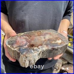 9.7LB Natural petrified wood rough Wood fossil mineral specimen healing energy 9.7LB Natural petrified wood rough Wood fossil mineral specimen healing energy