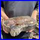 9_7LB_Natural_petrified_wood_rough_Wood_fossil_mineral_specimen_healing_energy_01_tag