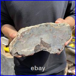 9.7LB Natural petrified wood rough Wood fossil mineral specimen healing energy 9.7LB Natural petrified wood rough Wood fossil mineral specimen healing energy
