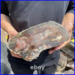 9.7LB Natural petrified wood rough Wood fossil mineral specimen healing energy 9.7LB Natural petrified wood rough Wood fossil mineral specimen healing energy