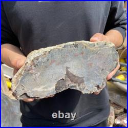 9.7LB Natural petrified wood rough Wood fossil mineral specimen healing energy 9.7LB Natural petrified wood rough Wood fossil mineral specimen healing energy