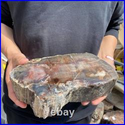 9.7LB Natural petrified wood rough Wood fossil mineral specimen healing energy 9.7LB Natural petrified wood rough Wood fossil mineral specimen healing energy