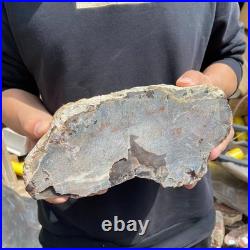 9.7LB Natural petrified wood rough Wood fossil mineral specimen healing energy 9.7LB Natural petrified wood rough Wood fossil mineral specimen healing energy