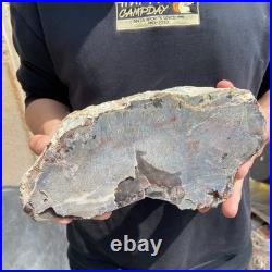 9.7LB Natural petrified wood rough Wood fossil mineral specimen healing energy 9.7LB Natural petrified wood rough Wood fossil mineral specimen healing energy