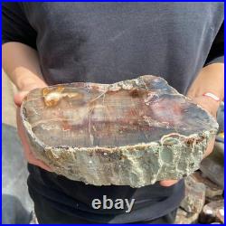 9.7LB Natural petrified wood rough Wood fossil mineral specimen healing energy 9.7LB Natural petrified wood rough Wood fossil mineral specimen healing energy