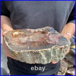 9.7LB Natural petrified wood rough Wood fossil mineral specimen healing energy 9.7LB Natural petrified wood rough Wood fossil mineral specimen healing energy