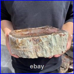 9.7LB Natural petrified wood rough Wood fossil mineral specimen healing energy 9.7LB Natural petrified wood rough Wood fossil mineral specimen healing energy
