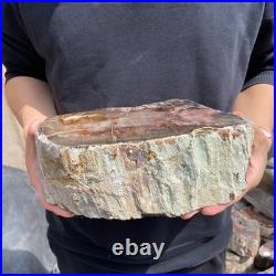 9.7LB Natural petrified wood rough Wood fossil mineral specimen healing energy 9.7LB Natural petrified wood rough Wood fossil mineral specimen healing energy