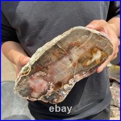 9.7LB Natural petrified wood rough Wood fossil mineral specimen healing energy 9.7LB Natural petrified wood rough Wood fossil mineral specimen healing energy
