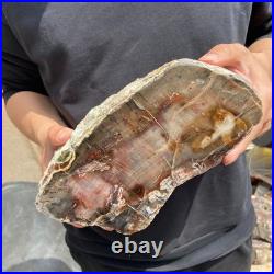 9.7LB Natural petrified wood rough Wood fossil mineral specimen healing energy 9.7LB Natural petrified wood rough Wood fossil mineral specimen healing energy