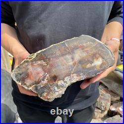 9.7LB Natural petrified wood rough Wood fossil mineral specimen healing energy 9.7LB Natural petrified wood rough Wood fossil mineral specimen healing energy