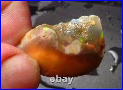 AAA+ Virgin Valley BLACK Precious Opal Petrified Wood Log Nevada 25.9 carats