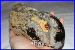 AMAZING! Polished Petrified Agatized Wood Limb With Calcite! Southwestern Wyoming