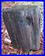 AMAZING_Polished_Petrified_Wood_Great_color_and_patterns_Over_18lbs_Lot_W_8_01_ufu